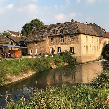 Aan De Watermolen Vakantiewoningen 빌레 외부 사진