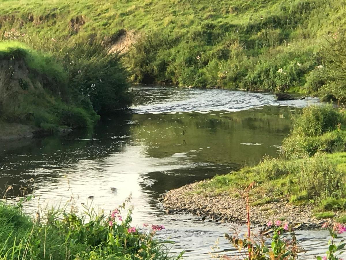 Aan De Watermolen Vakantiewoningen 빌레 외부 사진