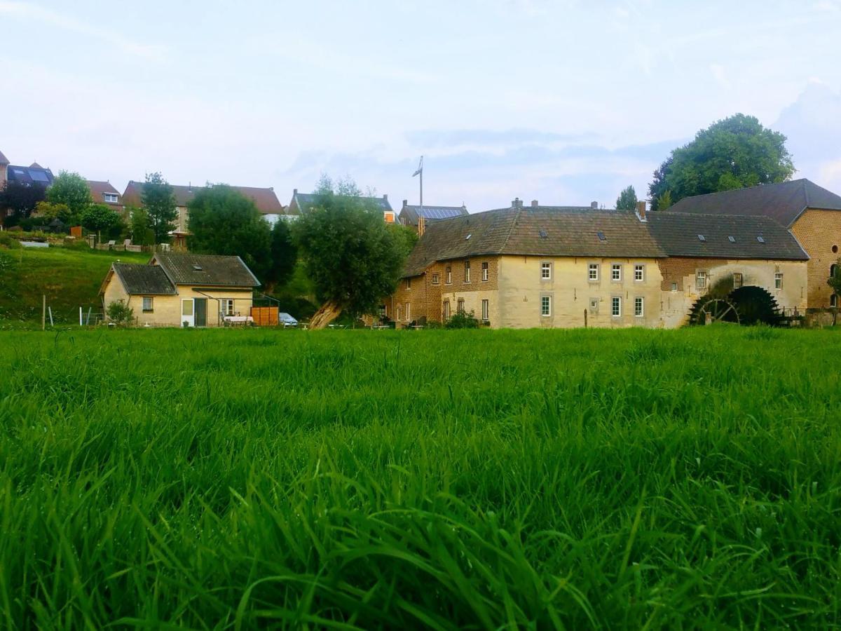 Aan De Watermolen Vakantiewoningen 빌레 외부 사진